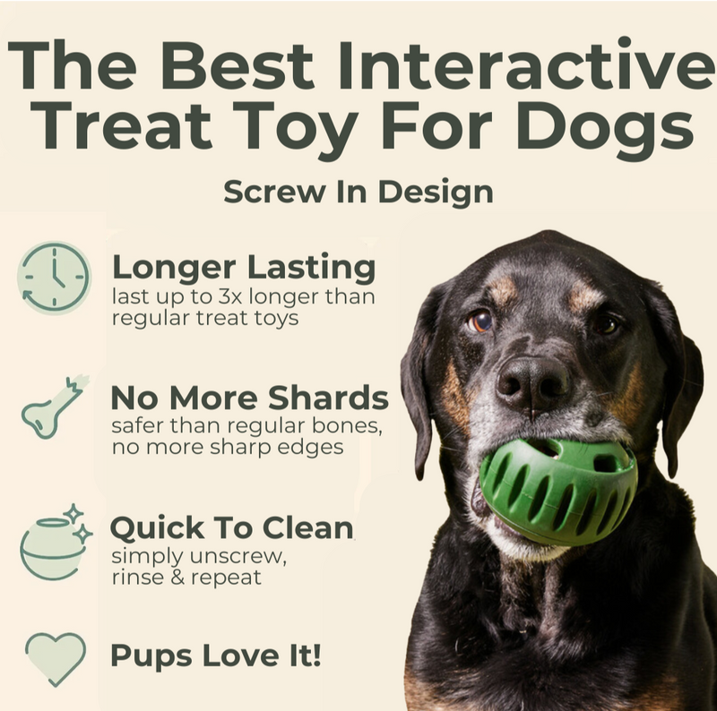 Dogsicle + FREE Freezable Mold Tray