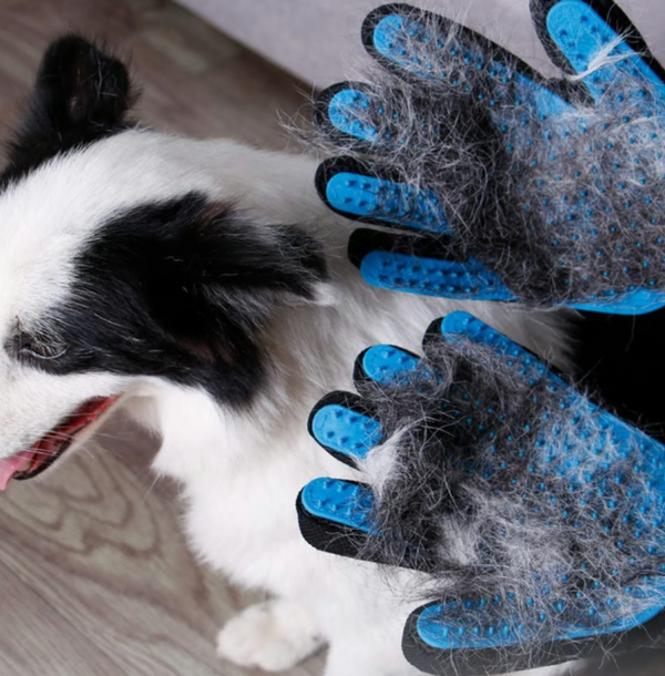 Grooming Gloves