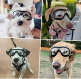 Adventure Dog Googles