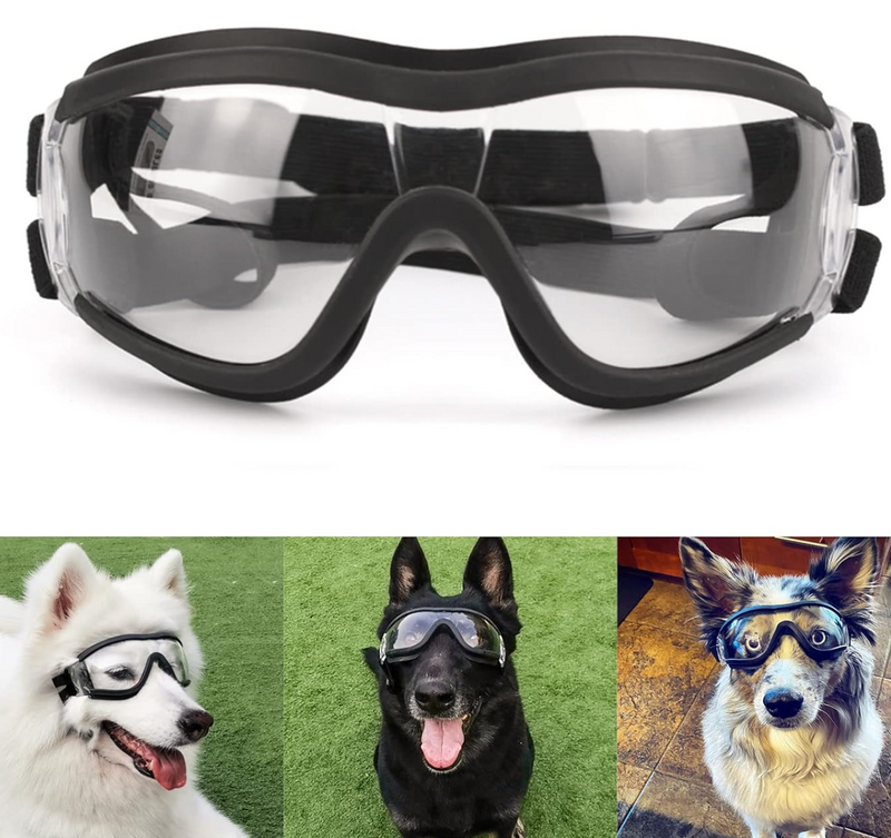 Adventure Dog Googles