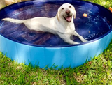 Deluxe Portable Dog Pool