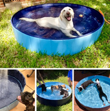 Deluxe Portable Dog Pool