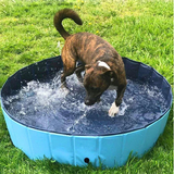 Deluxe Portable Dog Pool