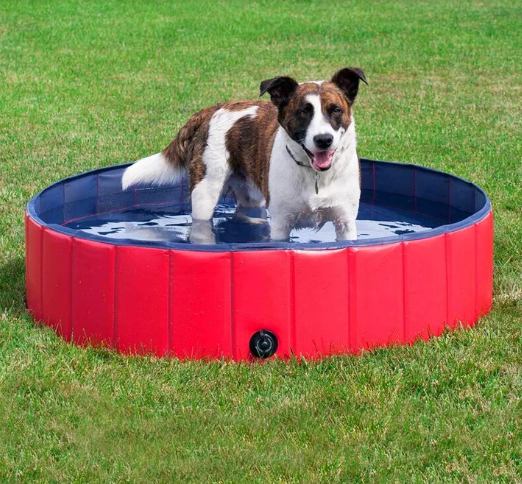 Deluxe Portable Dog Pool