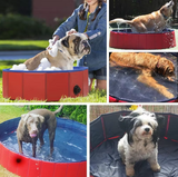 Deluxe Portable Dog Pool