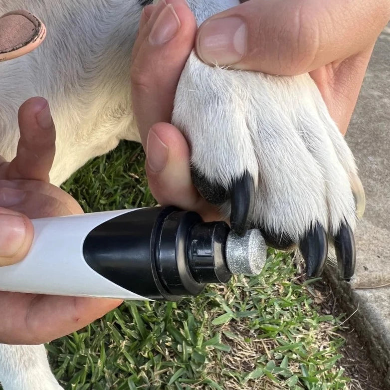 Electric Pet Nail Grinder