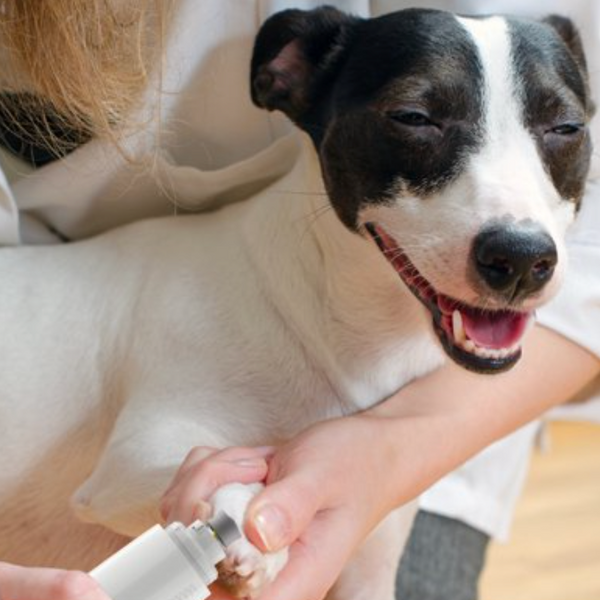 Electric Pet Nail Grinder