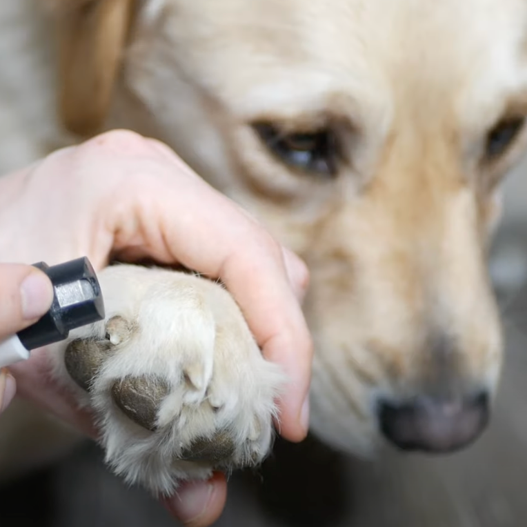 Electric Pet Nail Grinder