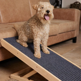 Wooden Dog Ramp