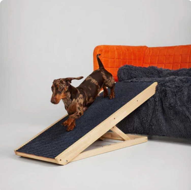 Wooden Dog Ramp