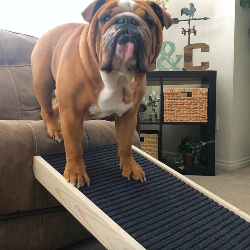 Wooden Dog Ramp